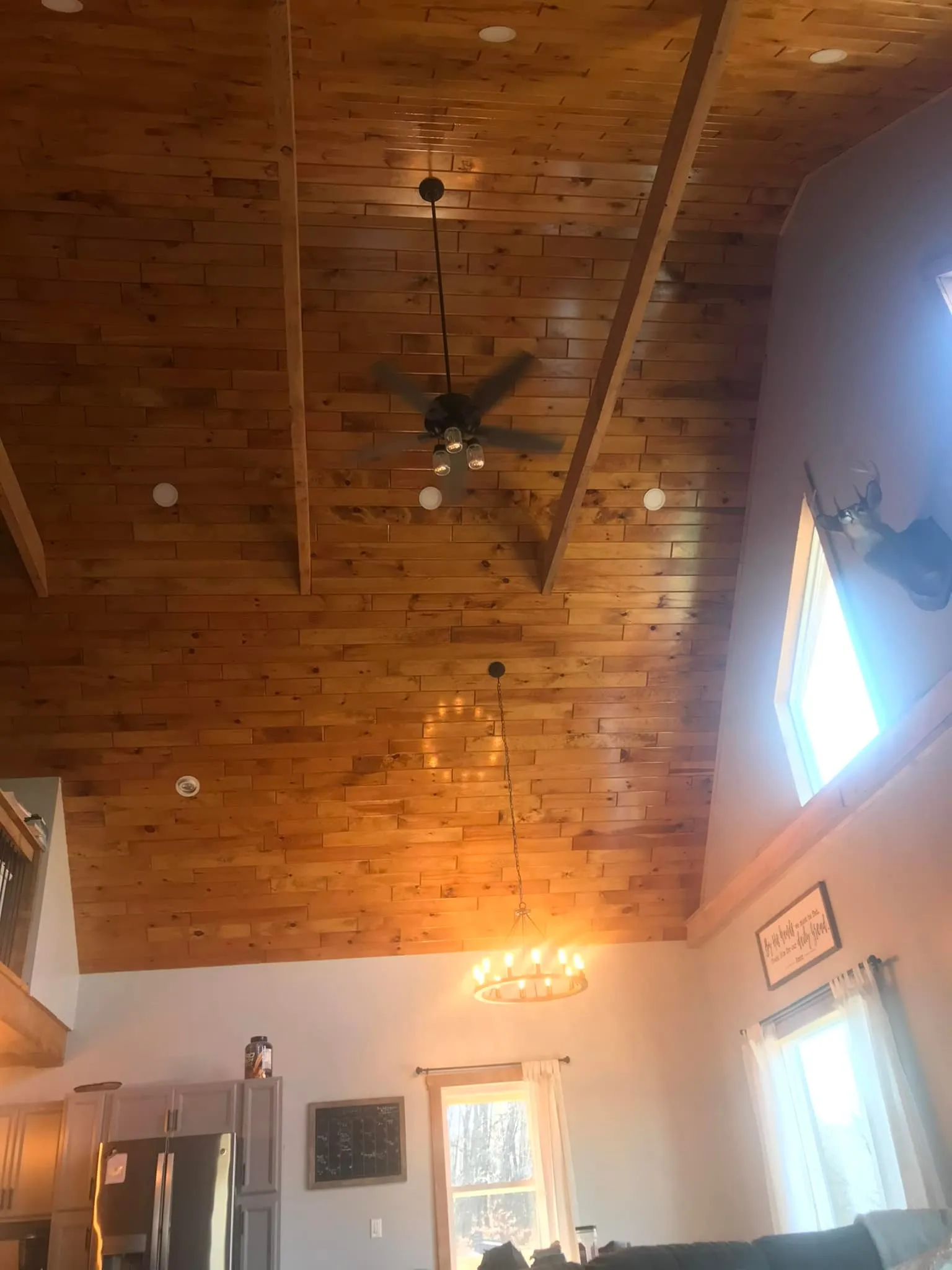 480590051_2794177397436936_5087508454371447023_n